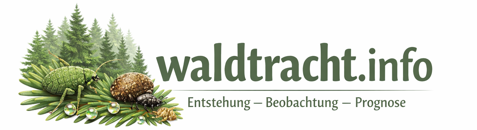 waldtracht.info